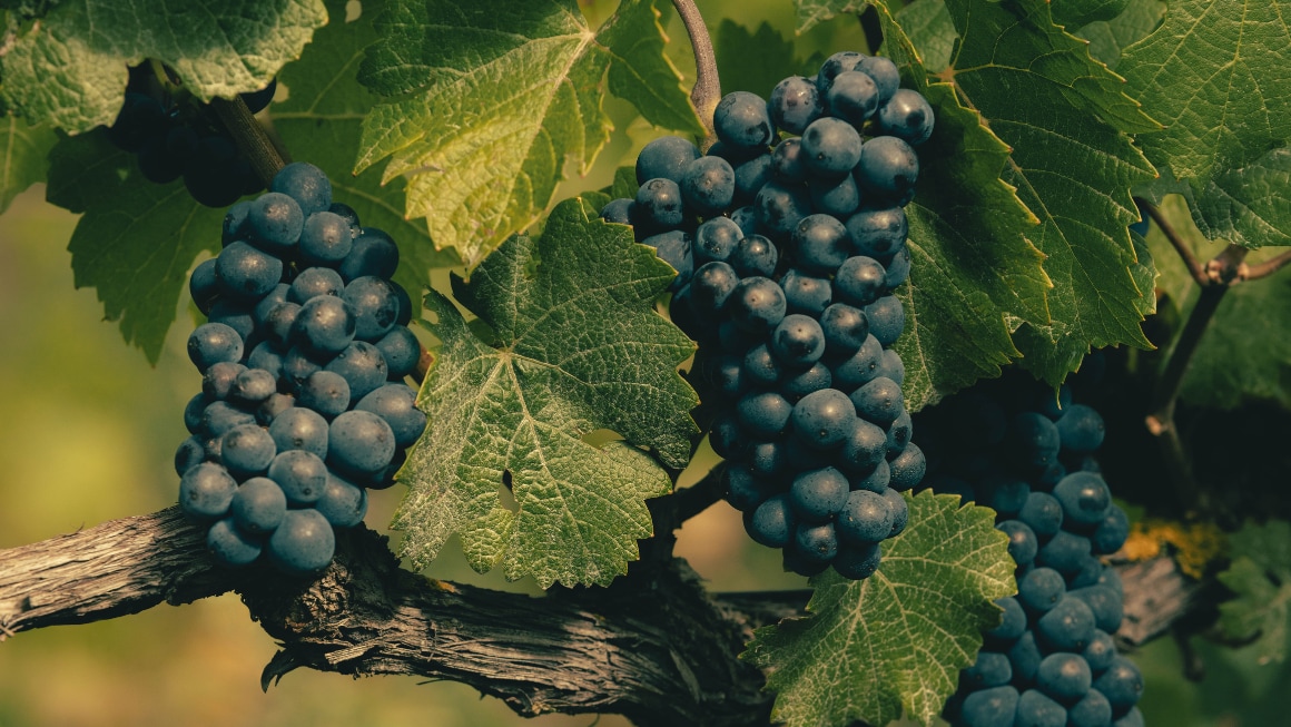 Image without a name